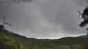 ./images/calvert/fitz-hugh-hecate/20250628/fitz-hugh-hecate20250628_101508M.jpg