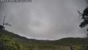./images/calvert/fitz-hugh-hecate/20250628/fitz-hugh-hecate20250628_102010M.jpg