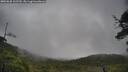 ./images/calvert/fitz-hugh-hecate/20250628/fitz-hugh-hecate20250628_102509M.jpg