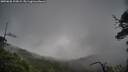 ./images/calvert/fitz-hugh-hecate/20250628/fitz-hugh-hecate20250628_103009M.jpg