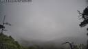 ./images/calvert/fitz-hugh-hecate/20250628/fitz-hugh-hecate20250628_103510M.jpg