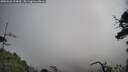 ./images/calvert/fitz-hugh-hecate/20250628/fitz-hugh-hecate20250628_104009M.jpg