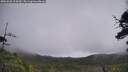 ./images/calvert/fitz-hugh-hecate/20250628/fitz-hugh-hecate20250628_104510M.jpg