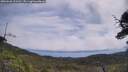 ./images/calvert/fitz-hugh-hecate/20250628/fitz-hugh-hecate20250628_111510M.jpg