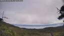 ./images/calvert/fitz-hugh-hecate/20250628/fitz-hugh-hecate20250628_112510M.jpg