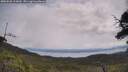 ./images/calvert/fitz-hugh-hecate/20250628/fitz-hugh-hecate20250628_113010M.jpg