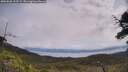 ./images/calvert/fitz-hugh-hecate/20250628/fitz-hugh-hecate20250628_113509M.jpg