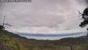 ./images/calvert/fitz-hugh-hecate/20250628/fitz-hugh-hecate20250628_114510M.jpg