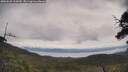 ./images/calvert/fitz-hugh-hecate/20250628/fitz-hugh-hecate20250628_115010M.jpg