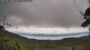 ./images/calvert/fitz-hugh-hecate/20250628/fitz-hugh-hecate20250628_121010M.jpg