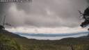 ./images/calvert/fitz-hugh-hecate/20250628/fitz-hugh-hecate20250628_121507M.jpg