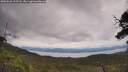 ./images/calvert/fitz-hugh-hecate/20250628/fitz-hugh-hecate20250628_123508M.jpg