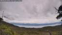 ./images/calvert/fitz-hugh-hecate/20250628/fitz-hugh-hecate20250628_124510M.jpg