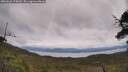 ./images/calvert/fitz-hugh-hecate/20250628/fitz-hugh-hecate20250628_125010M.jpg