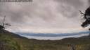./images/calvert/fitz-hugh-hecate/20250628/fitz-hugh-hecate20250628_125510M.jpg