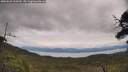./images/calvert/fitz-hugh-hecate/20250628/fitz-hugh-hecate20250628_130010M.jpg