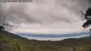 ./images/calvert/fitz-hugh-hecate/20250628/fitz-hugh-hecate20250628_130509M.jpg