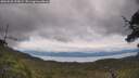 ./images/calvert/fitz-hugh-hecate/20250628/fitz-hugh-hecate20250628_133008M.jpg