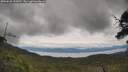 ./images/calvert/fitz-hugh-hecate/20250628/fitz-hugh-hecate20250628_133510M.jpg