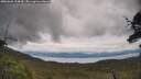 ./images/calvert/fitz-hugh-hecate/20250628/fitz-hugh-hecate20250628_134010M.jpg