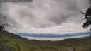 ./images/calvert/fitz-hugh-hecate/20250628/fitz-hugh-hecate20250628_134507M.jpg