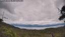./images/calvert/fitz-hugh-hecate/20250628/fitz-hugh-hecate20250628_135010M.jpg