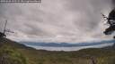 ./images/calvert/fitz-hugh-hecate/20250628/fitz-hugh-hecate20250628_135507M.jpg