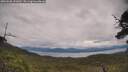 ./images/calvert/fitz-hugh-hecate/20250628/fitz-hugh-hecate20250628_141009M.jpg
