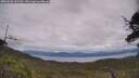 ./images/calvert/fitz-hugh-hecate/20250628/fitz-hugh-hecate20250628_141510M.jpg