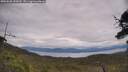 ./images/calvert/fitz-hugh-hecate/20250628/fitz-hugh-hecate20250628_143010M.jpg