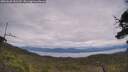 ./images/calvert/fitz-hugh-hecate/20250628/fitz-hugh-hecate20250628_143510M.jpg