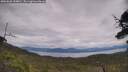 ./images/calvert/fitz-hugh-hecate/20250628/fitz-hugh-hecate20250628_144010M.jpg