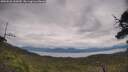 ./images/calvert/fitz-hugh-hecate/20250628/fitz-hugh-hecate20250628_145010M.jpg