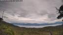./images/calvert/fitz-hugh-hecate/20250628/fitz-hugh-hecate20250628_145509M.jpg