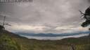 ./images/calvert/fitz-hugh-hecate/20250628/fitz-hugh-hecate20250628_150510M.jpg
