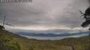 ./images/calvert/fitz-hugh-hecate/20250628/fitz-hugh-hecate20250628_152510M.jpg