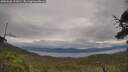 ./images/calvert/fitz-hugh-hecate/20250628/fitz-hugh-hecate20250628_153010M.jpg