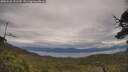 ./images/calvert/fitz-hugh-hecate/20250628/fitz-hugh-hecate20250628_153509M.jpg