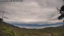 ./images/calvert/fitz-hugh-hecate/20250628/fitz-hugh-hecate20250628_154010M.jpg