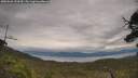 ./images/calvert/fitz-hugh-hecate/20250628/fitz-hugh-hecate20250628_154510M.jpg