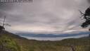 ./images/calvert/fitz-hugh-hecate/20250628/fitz-hugh-hecate20250628_155009M.jpg