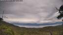 ./images/calvert/fitz-hugh-hecate/20250628/fitz-hugh-hecate20250628_155510M.jpg