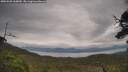 ./images/calvert/fitz-hugh-hecate/20250628/fitz-hugh-hecate20250628_160009M.jpg