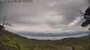 ./images/calvert/fitz-hugh-hecate/20250628/fitz-hugh-hecate20250628_160511M.jpg