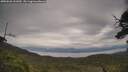 ./images/calvert/fitz-hugh-hecate/20250628/fitz-hugh-hecate20250628_161009M.jpg