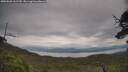 ./images/calvert/fitz-hugh-hecate/20250628/fitz-hugh-hecate20250628_161510M.jpg