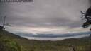 ./images/calvert/fitz-hugh-hecate/20250628/fitz-hugh-hecate20250628_162009M.jpg