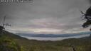 ./images/calvert/fitz-hugh-hecate/20250628/fitz-hugh-hecate20250628_163509M.jpg