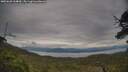 ./images/calvert/fitz-hugh-hecate/20250628/fitz-hugh-hecate20250628_164010M.jpg