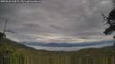 ./images/calvert/fitz-hugh-hecate/20250628/fitz-hugh-hecate20250628_164510M.jpg
